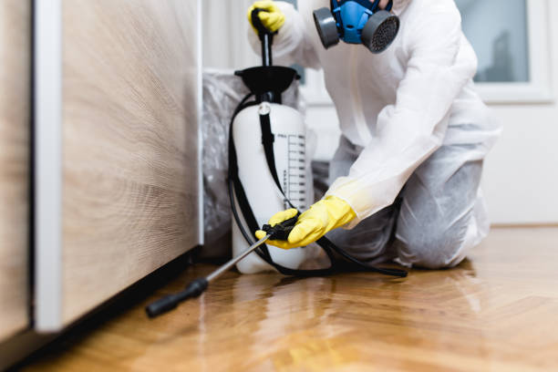 Best Flea Control Services  in Grain Valley, MO