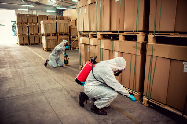 Best Local Pest Control Services  in Grain Valley, MO