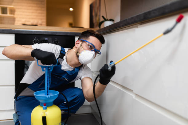 Best Best Pest Control Companies  in Grain Valley, MO