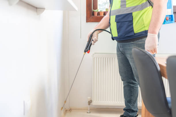 Best Affordable Pest Control Services  in Grain Valley, MO