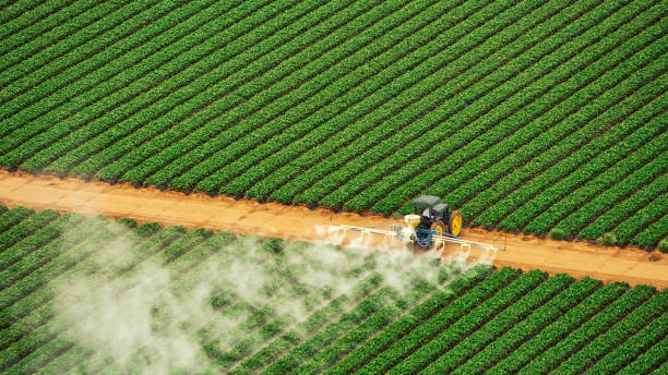 Best Bed Bug Extermination  in Grain Valley, MO
