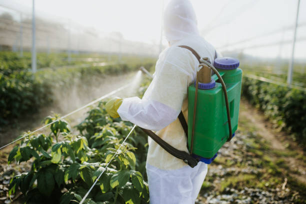 Best Exterminator Services  in Grain Valley, MO